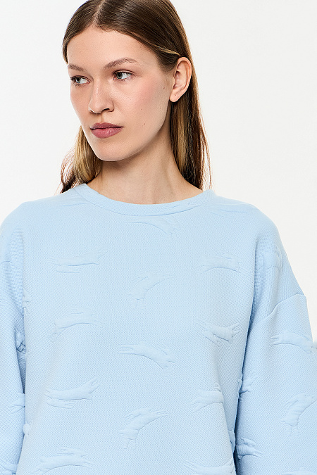 Толстовки и свитшоты